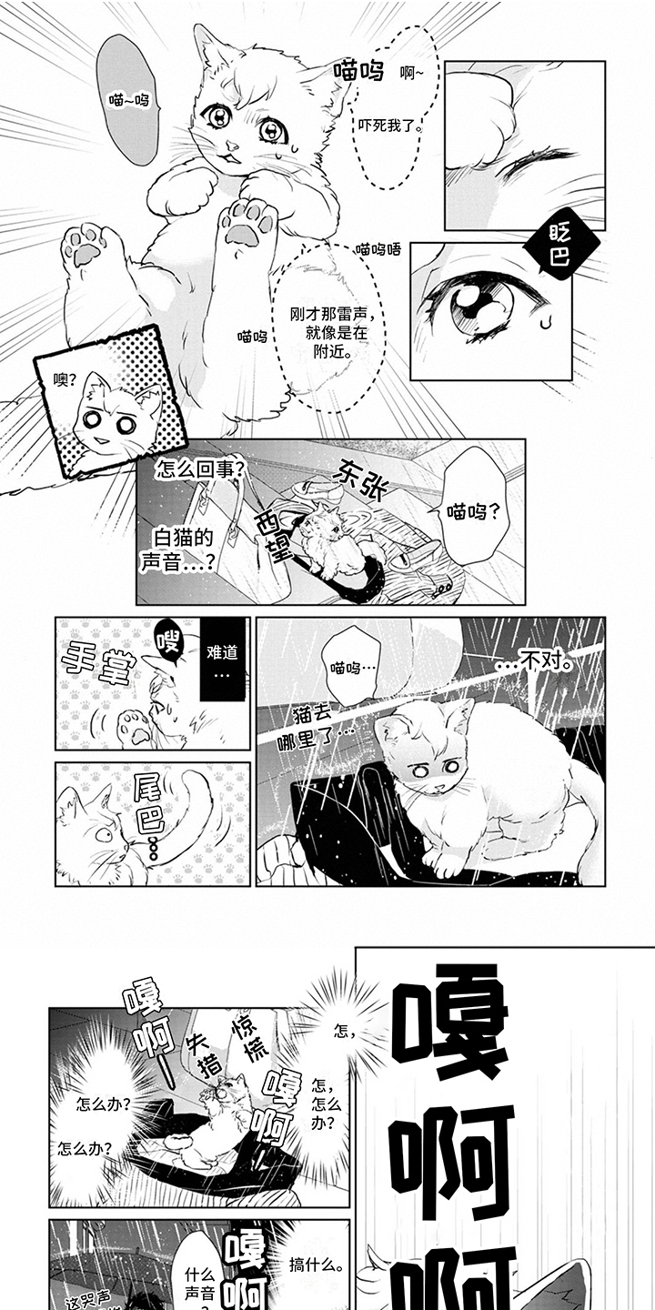 《猫女报恩》漫画最新章节第2章：变身免费下拉式在线观看章节第【8】张图片