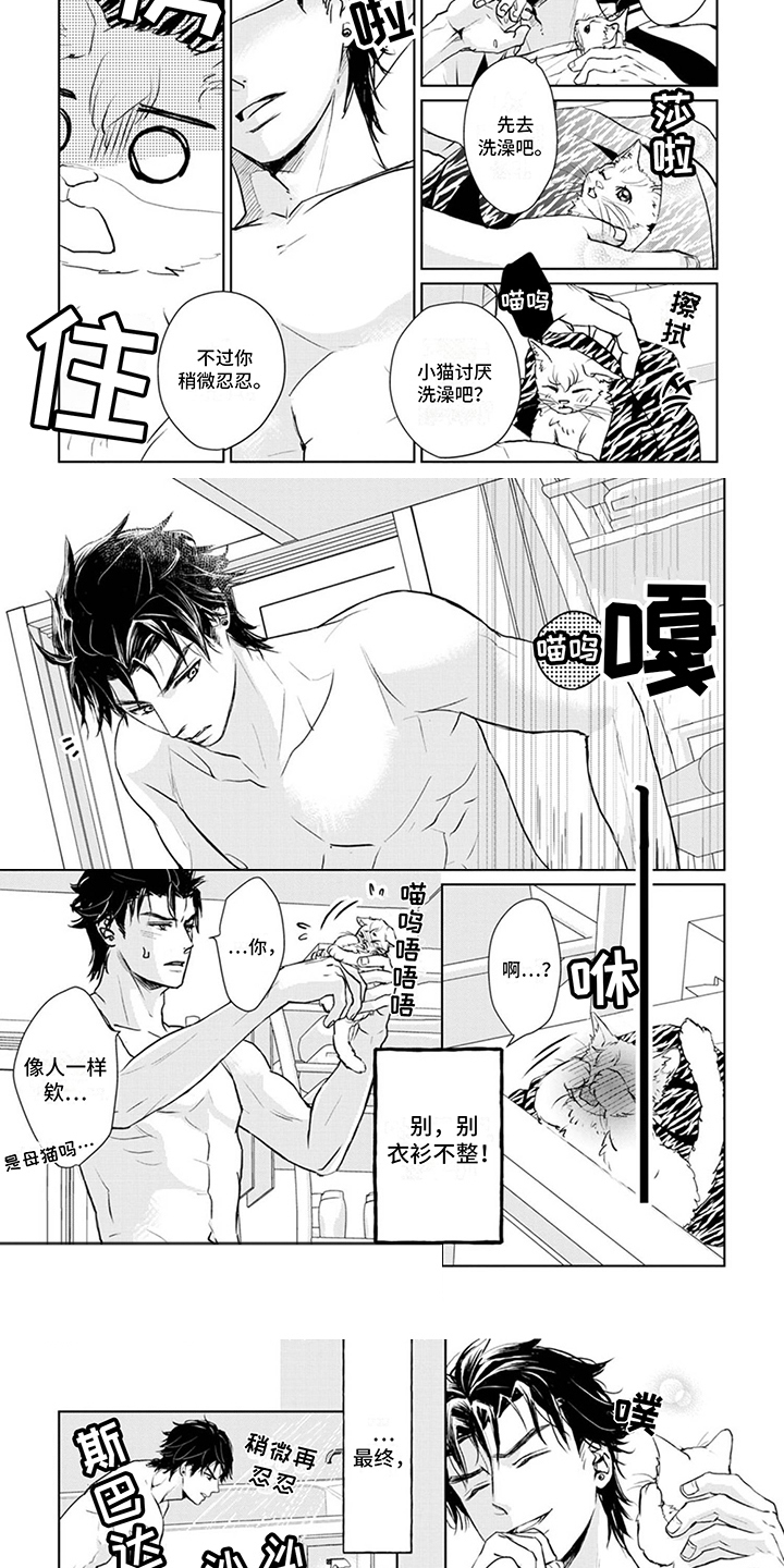 《猫女报恩》漫画最新章节第2章：变身免费下拉式在线观看章节第【4】张图片