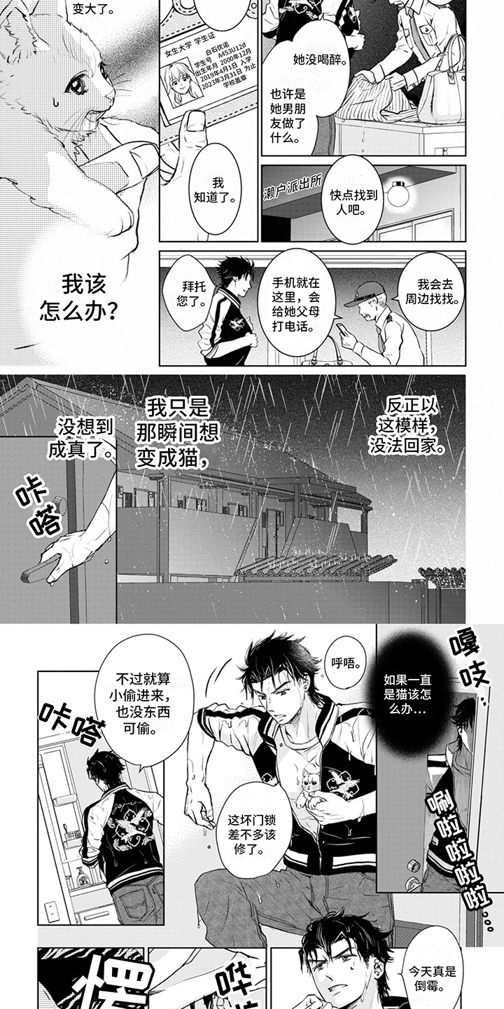 《猫女报恩》漫画最新章节第2章：变身免费下拉式在线观看章节第【5】张图片