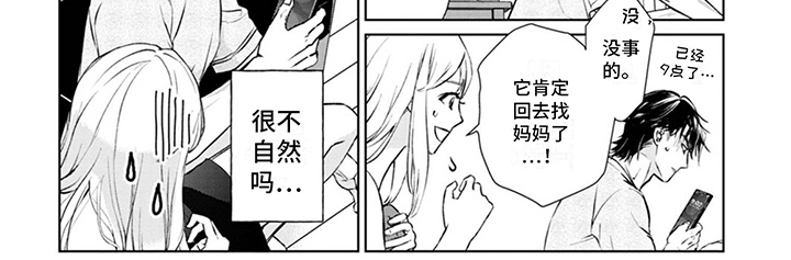 《猫女报恩》漫画最新章节第3章：手忙脚乱免费下拉式在线观看章节第【1】张图片