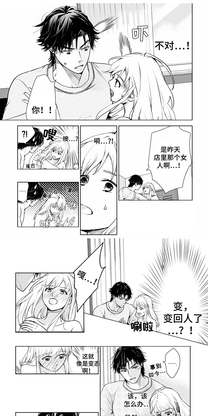 《猫女报恩》漫画最新章节第3章：手忙脚乱免费下拉式在线观看章节第【8】张图片