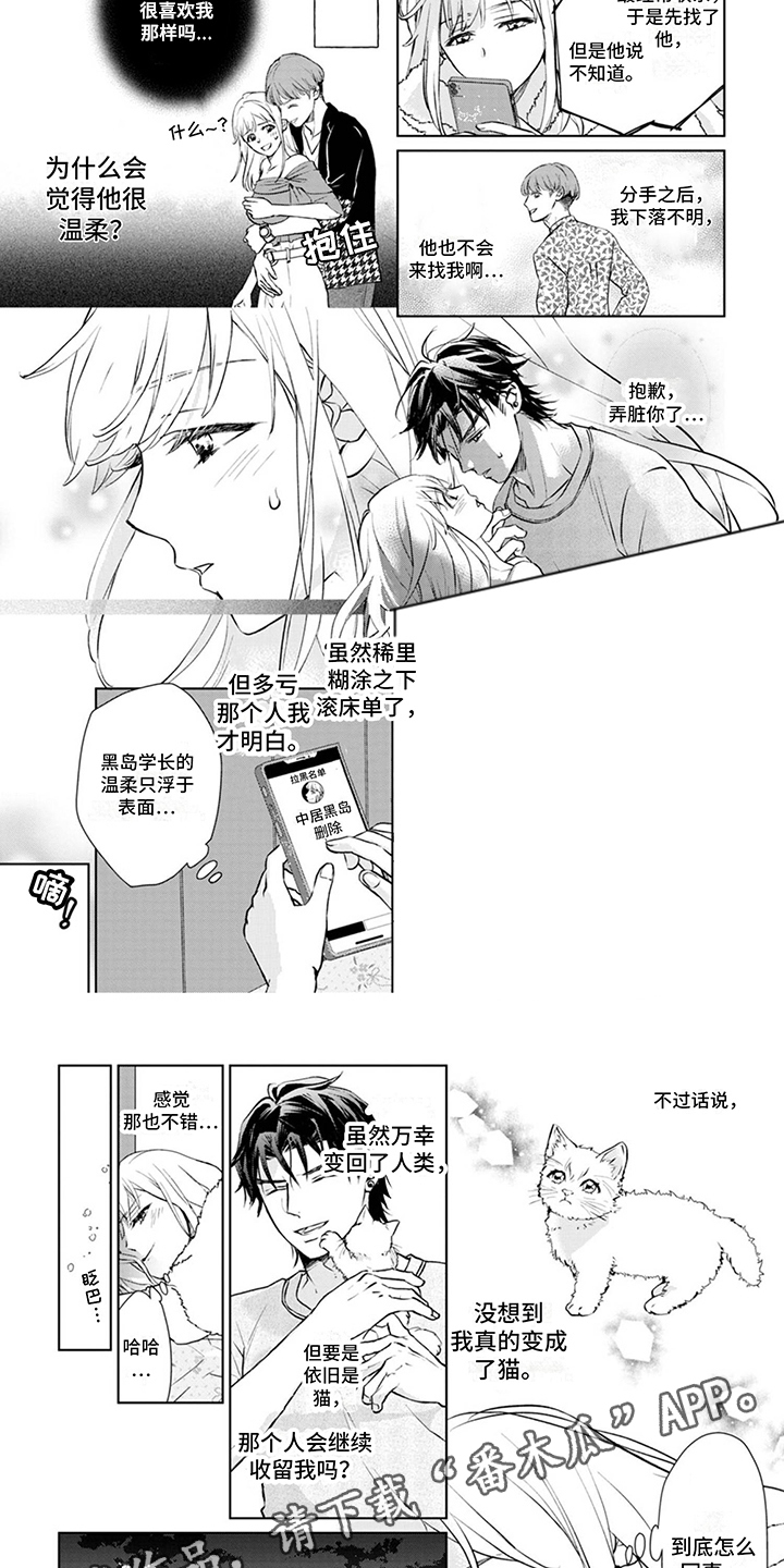 《猫女报恩》漫画最新章节第4章：又来了免费下拉式在线观看章节第【5】张图片