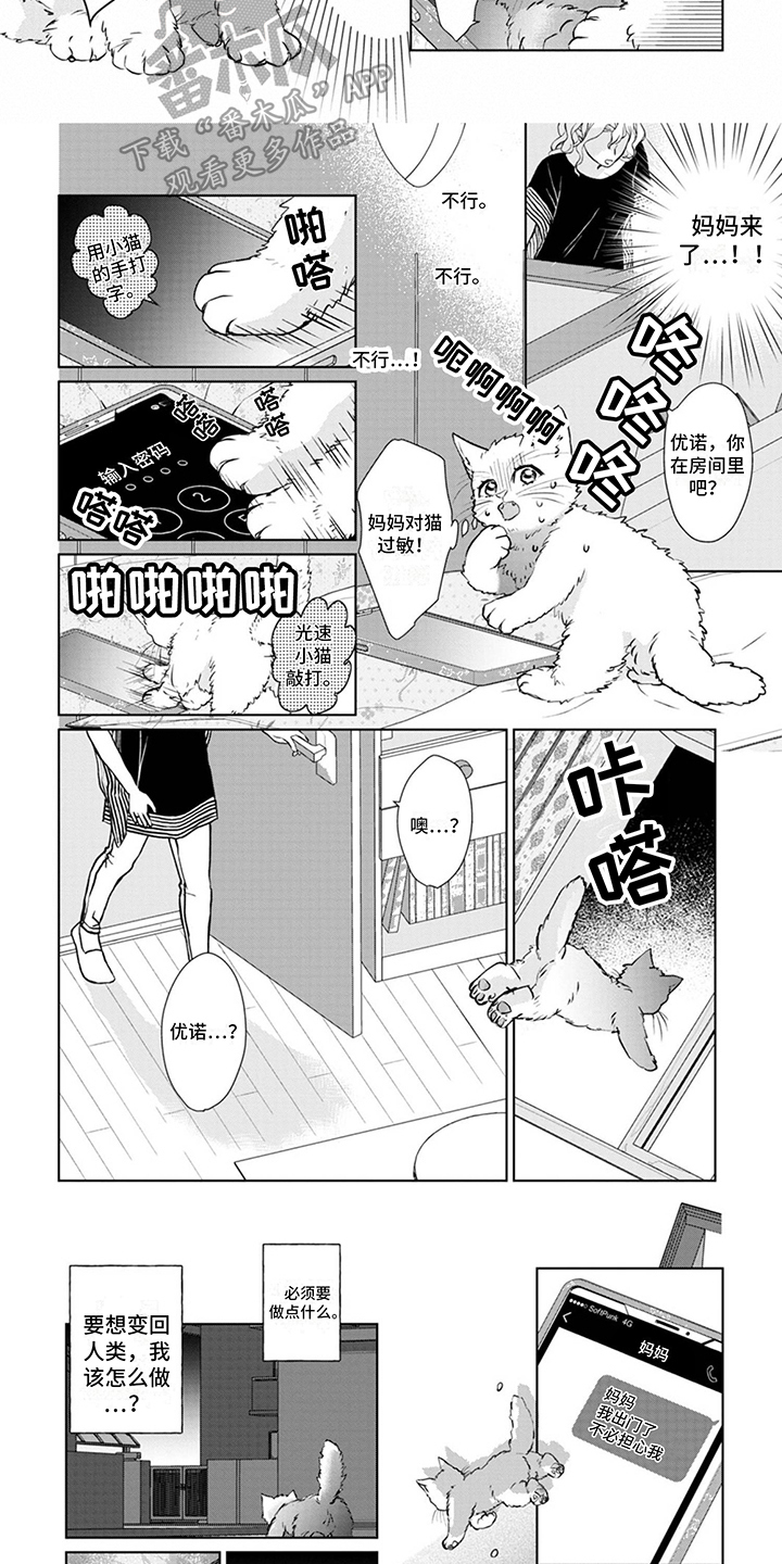 《猫女报恩》漫画最新章节第4章：又来了免费下拉式在线观看章节第【3】张图片