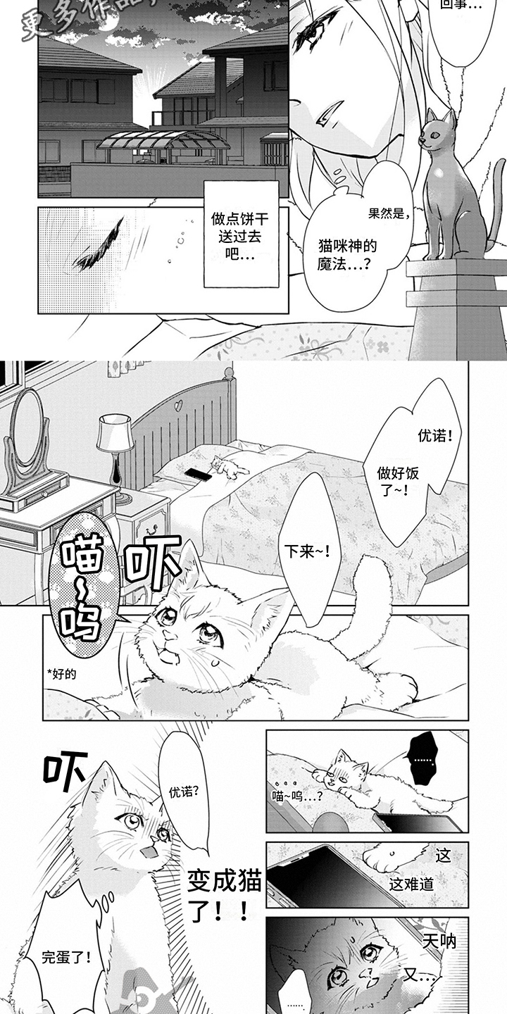 《猫女报恩》漫画最新章节第4章：又来了免费下拉式在线观看章节第【4】张图片