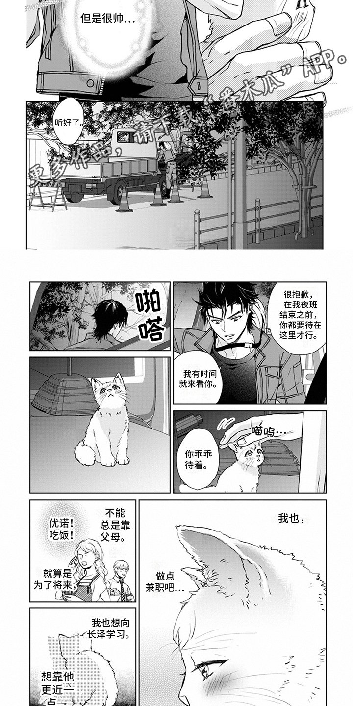 《猫女报恩》漫画最新章节第5章：契机免费下拉式在线观看章节第【4】张图片