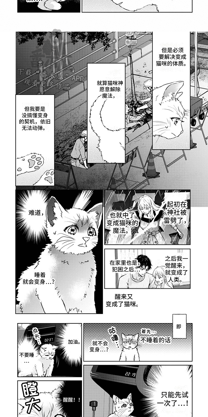 《猫女报恩》漫画最新章节第5章：契机免费下拉式在线观看章节第【3】张图片