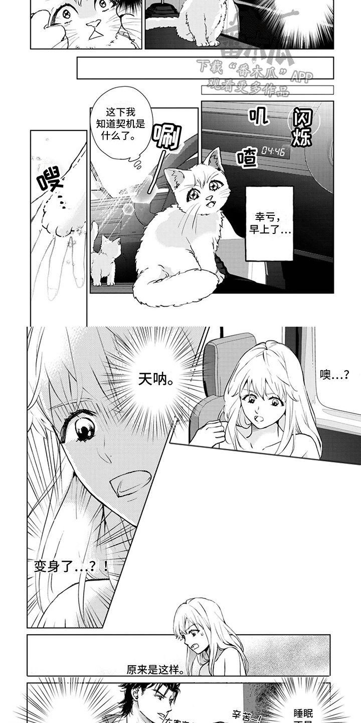 《猫女报恩》漫画最新章节第5章：契机免费下拉式在线观看章节第【2】张图片