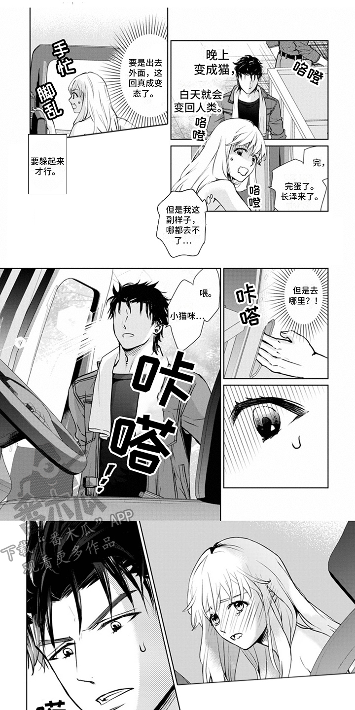 《猫女报恩》漫画最新章节第6章：忍耐免费下拉式在线观看章节第【8】张图片