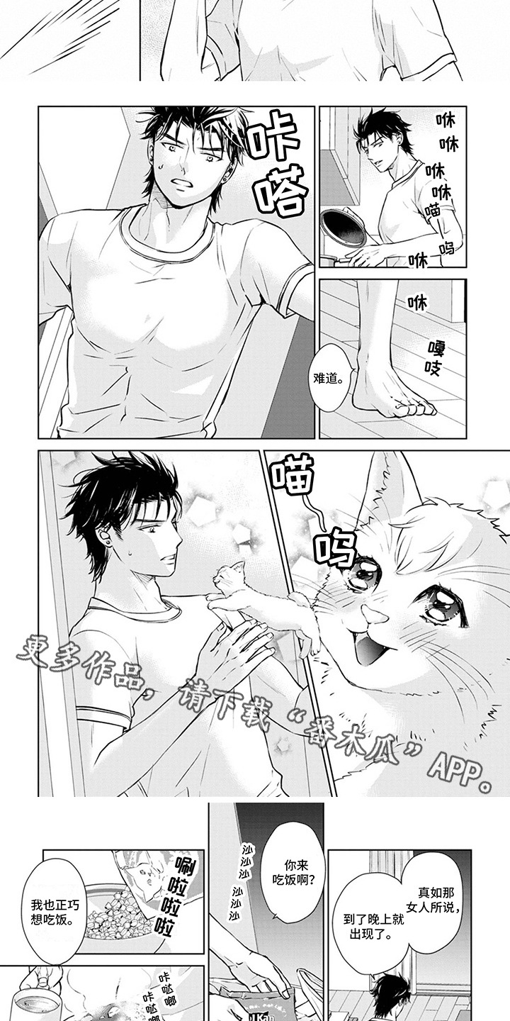 《猫女报恩》漫画最新章节第8章：取名免费下拉式在线观看章节第【6】张图片