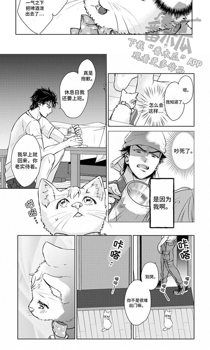 《猫女报恩》漫画最新章节第8章：取名免费下拉式在线观看章节第【1】张图片