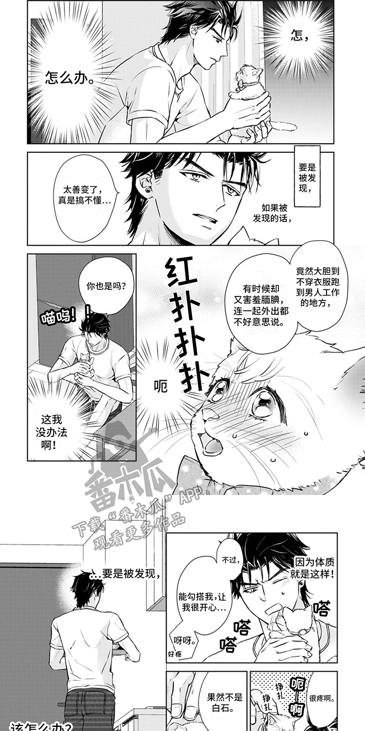 《猫女报恩》漫画最新章节第8章：取名免费下拉式在线观看章节第【3】张图片