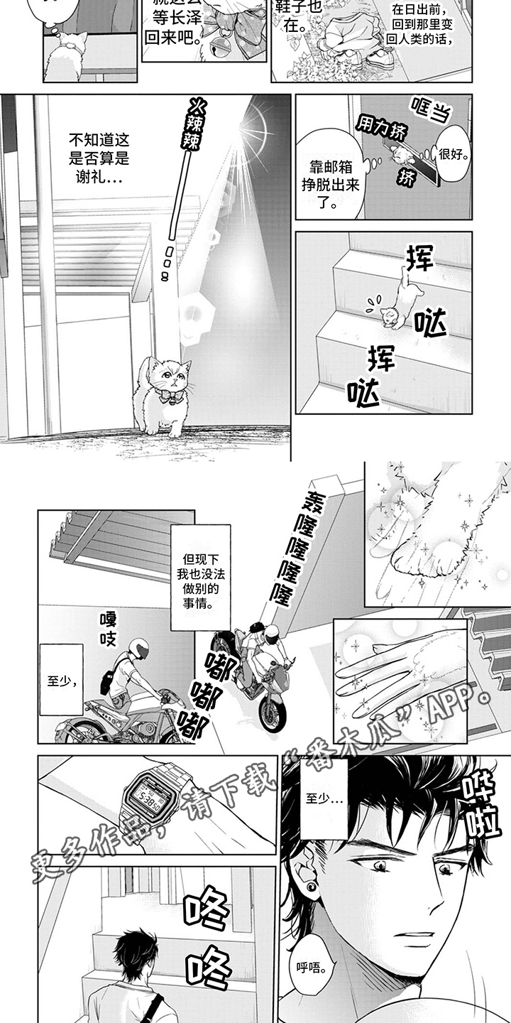 《猫女报恩》漫画最新章节第9章：等待免费下拉式在线观看章节第【6】张图片