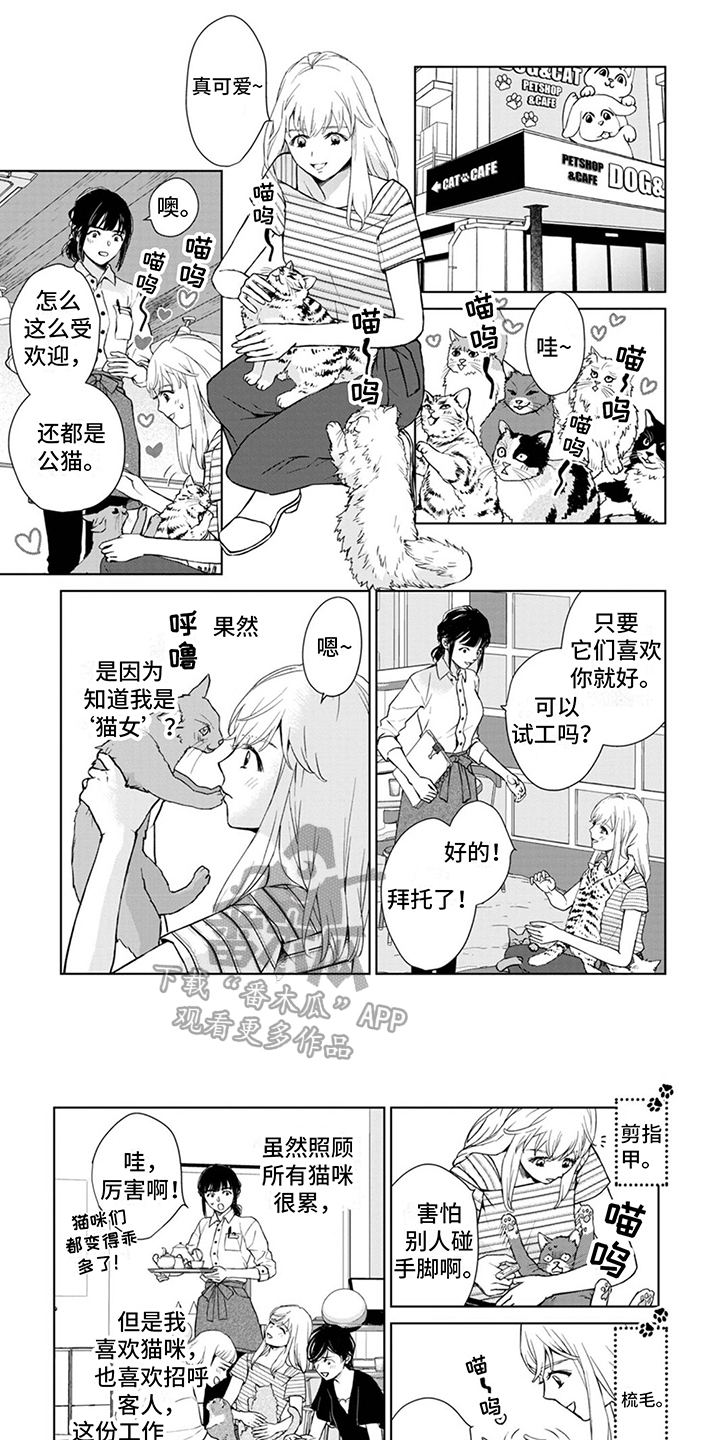 《猫女报恩》漫画最新章节第11章：兼职免费下拉式在线观看章节第【7】张图片