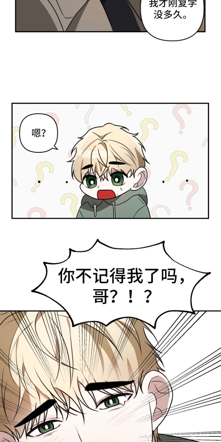 《年下的他》漫画最新章节第1章：重逢免费下拉式在线观看章节第【14】张图片