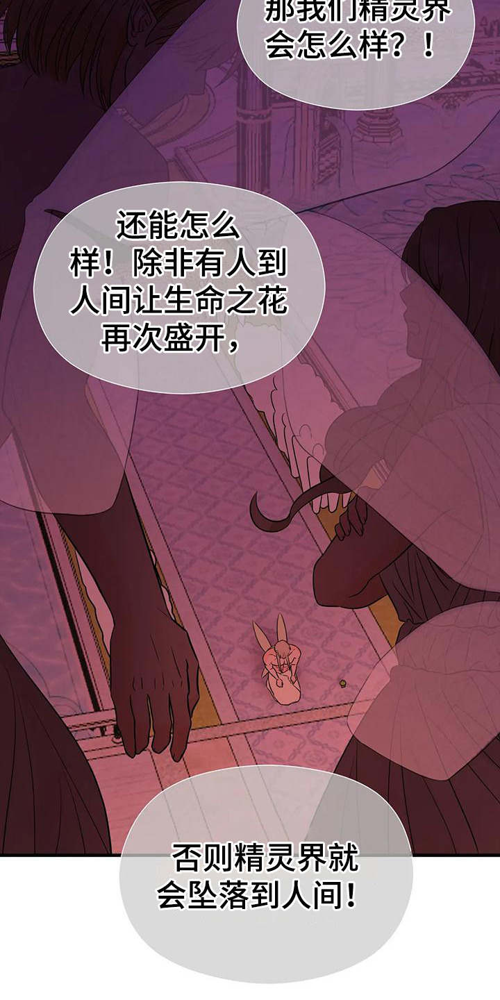 《神仙配对》漫画最新章节第6章：生命之花免费下拉式在线观看章节第【17】张图片