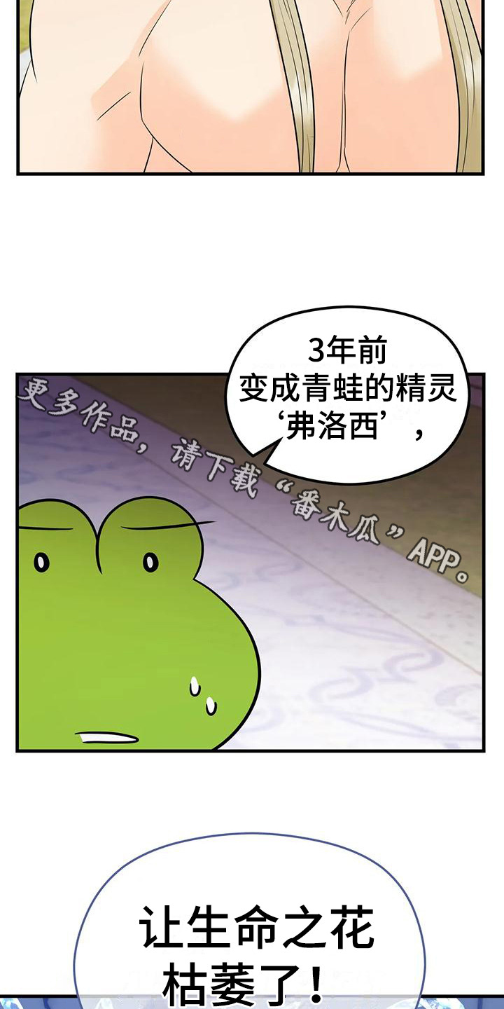 《神仙配对》漫画最新章节第6章：生命之花免费下拉式在线观看章节第【19】张图片