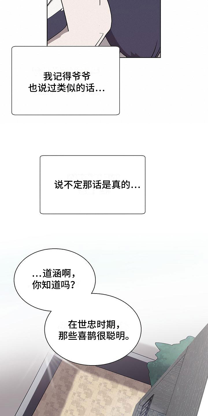 《鹊蛇之争》漫画最新章节第2章：帅哥登场免费下拉式在线观看章节第【21】张图片