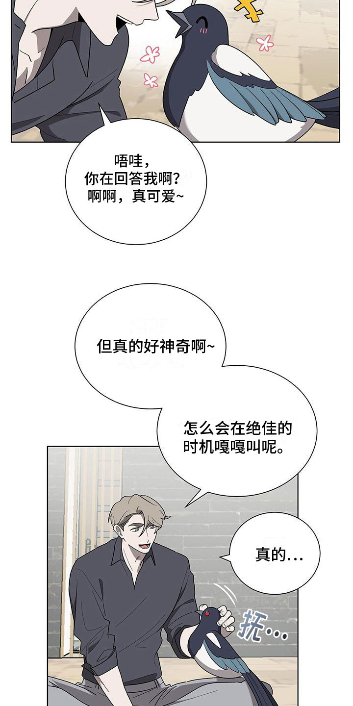 《鹊蛇之争》漫画最新章节第2章：帅哥登场免费下拉式在线观看章节第【24】张图片