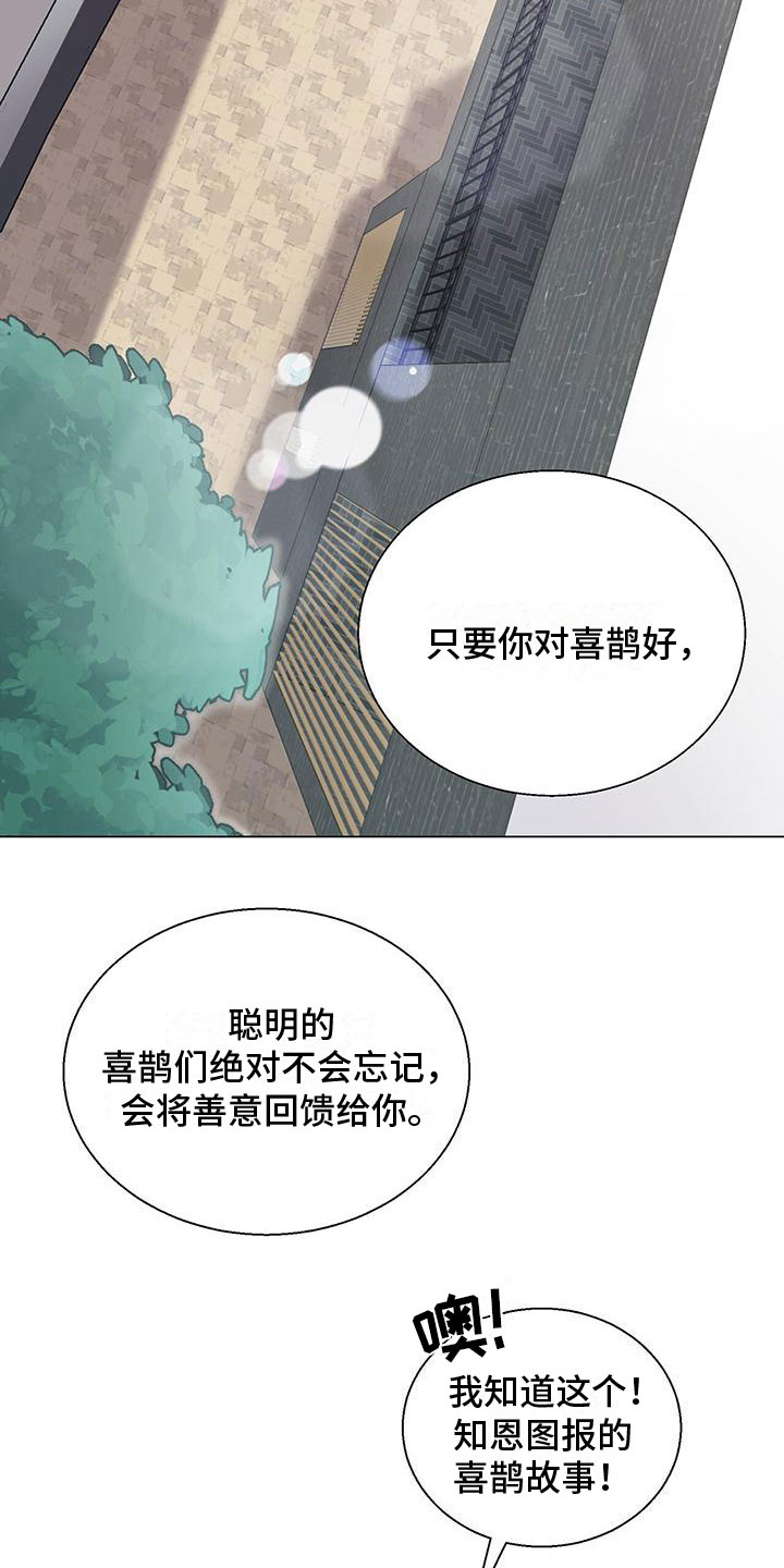 《鹊蛇之争》漫画最新章节第2章：帅哥登场免费下拉式在线观看章节第【20】张图片