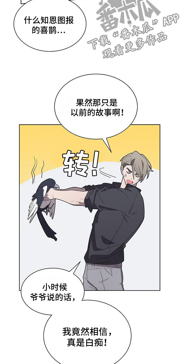 《鹊蛇之争》漫画最新章节第4章：玩弄你免费下拉式在线观看章节第【17】张图片