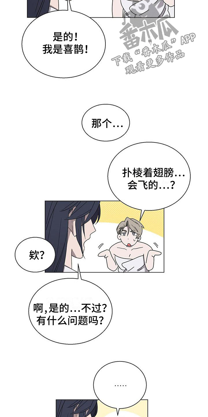 《鹊蛇之争》漫画最新章节第11章：留在你身边免费下拉式在线观看章节第【16】张图片