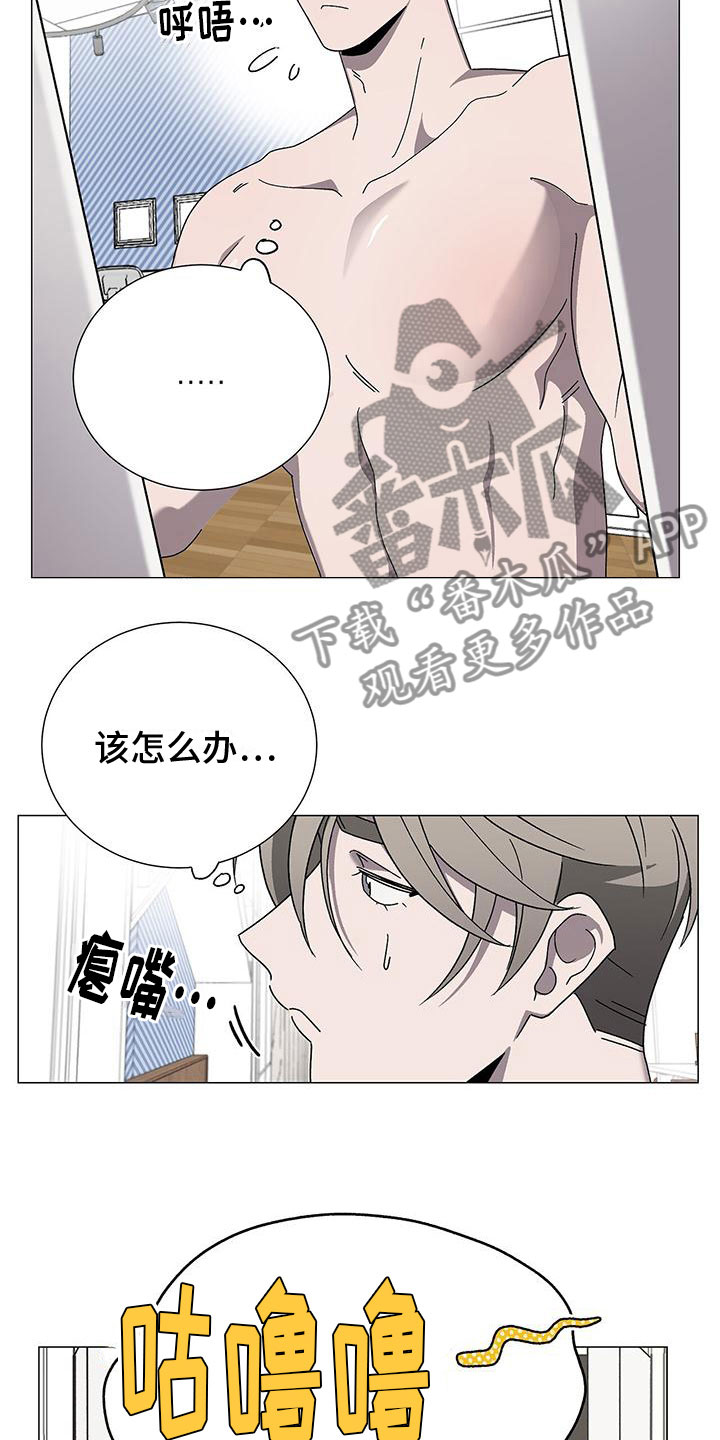 《鹊蛇之争》漫画最新章节第13章：真的是他免费下拉式在线观看章节第【15】张图片