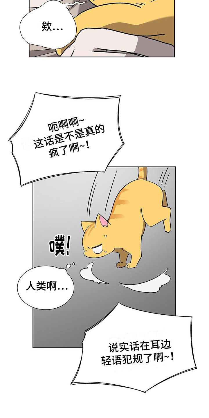 《鹊蛇之争》漫画最新章节第17章：怪吓人的免费下拉式在线观看章节第【23】张图片