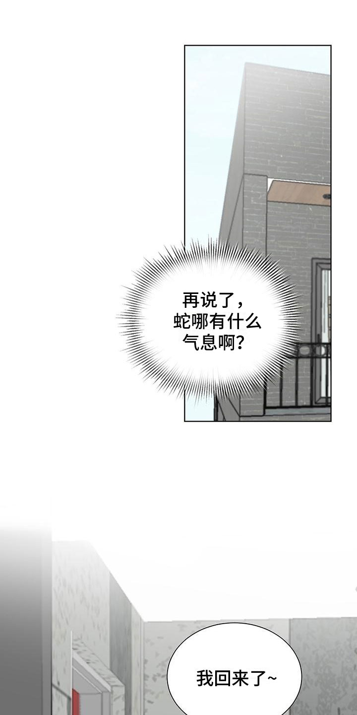 《鹊蛇之争》漫画最新章节第17章：怪吓人的免费下拉式在线观看章节第【18】张图片