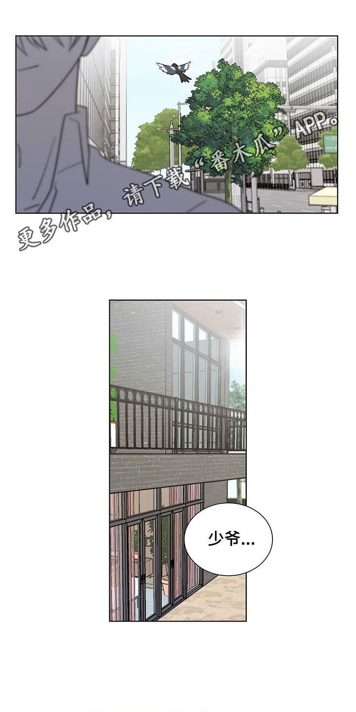 《鹊蛇之争》漫画最新章节第20章：要疯了免费下拉式在线观看章节第【29】张图片