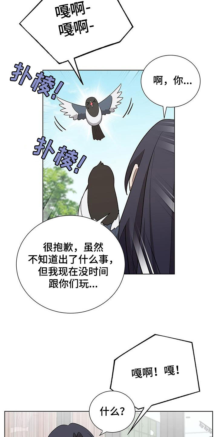 《鹊蛇之争》漫画最新章节第20章：要疯了免费下拉式在线观看章节第【24】张图片