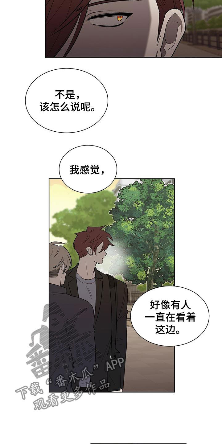 《鹊蛇之争》漫画最新章节第22章：碍事免费下拉式在线观看章节第【9】张图片