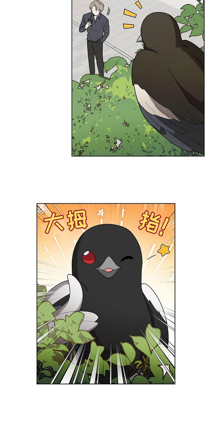 《鹊蛇之争》漫画最新章节第22章：碍事免费下拉式在线观看章节第【19】张图片