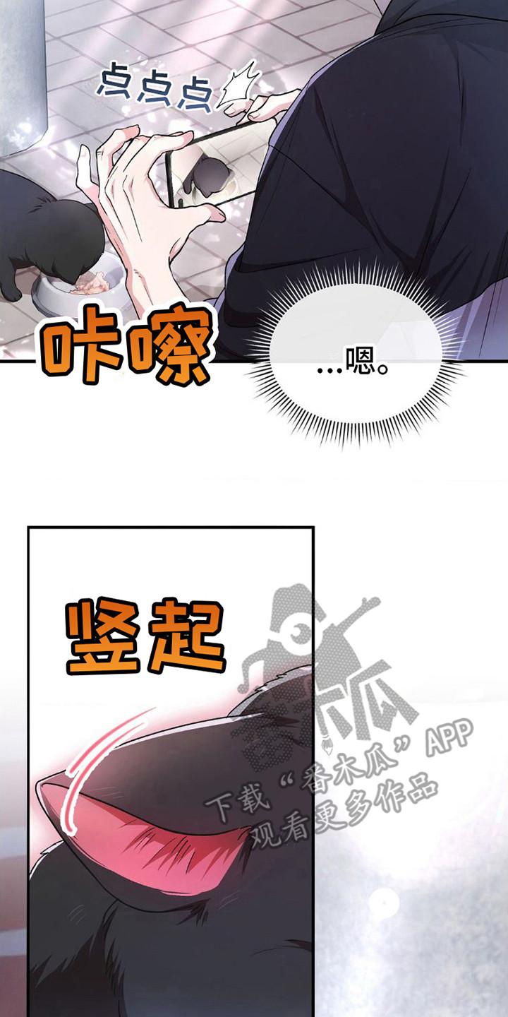 《网恋进行时》漫画最新章节第11章：吓一跳免费下拉式在线观看章节第【7】张图片