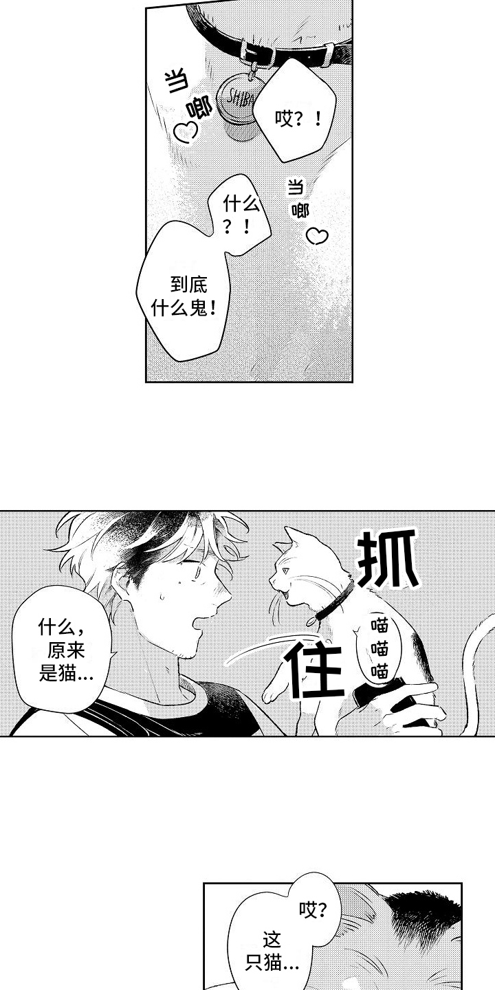 《春风吹向失恋的人》漫画最新章节第23章：思念免费下拉式在线观看章节第【9】张图片