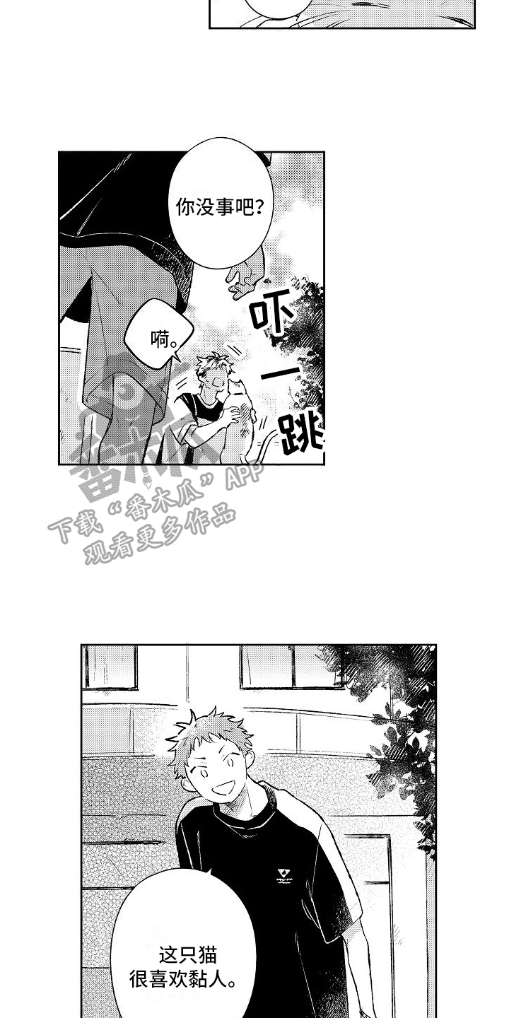 《春风吹向失恋的人》漫画最新章节第23章：思念免费下拉式在线观看章节第【8】张图片