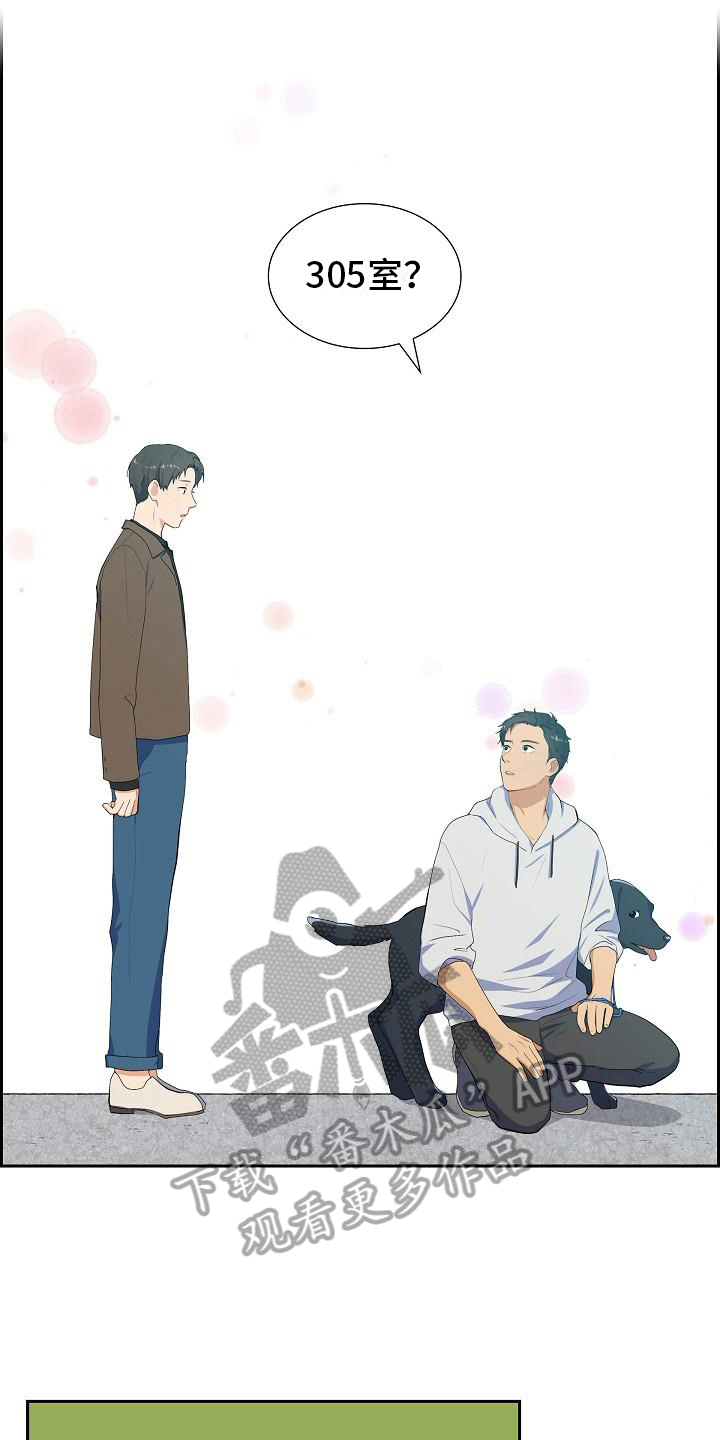 《再相会》漫画最新章节第4章：小团免费下拉式在线观看章节第【15】张图片