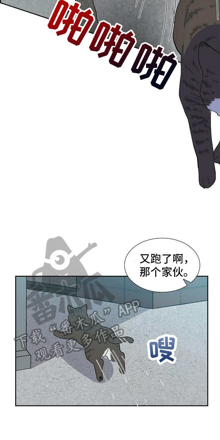 《再相会》漫画最新章节第4章：小团免费下拉式在线观看章节第【17】张图片