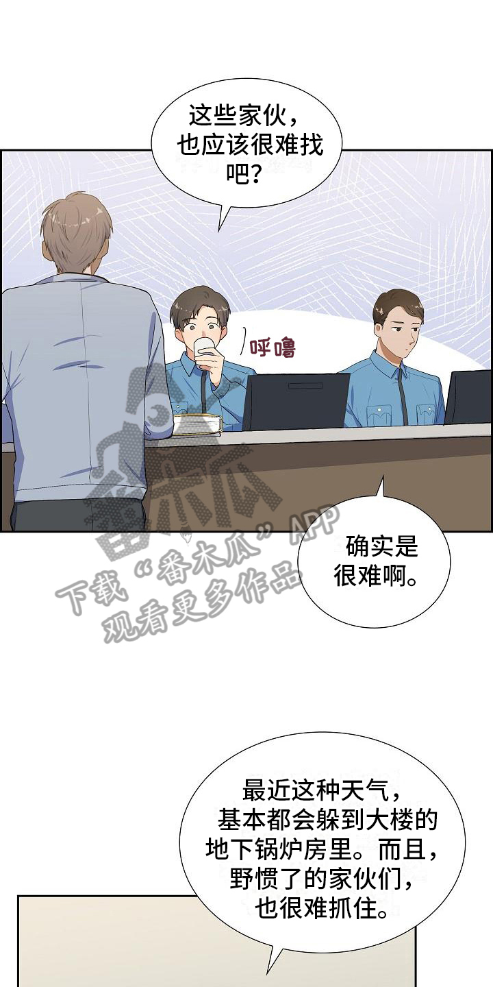 《再相会》漫画最新章节第4章：小团免费下拉式在线观看章节第【6】张图片