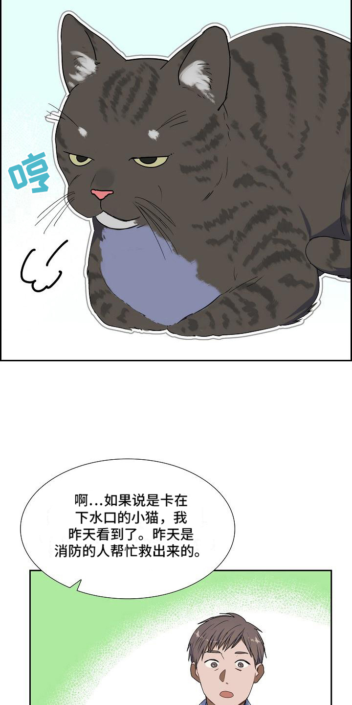 《再相会》漫画最新章节第4章：小团免费下拉式在线观看章节第【3】张图片