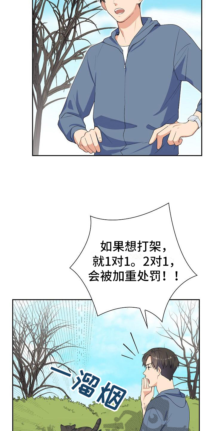 《再相会》漫画最新章节第7章：猫的纷争免费下拉式在线观看章节第【10】张图片