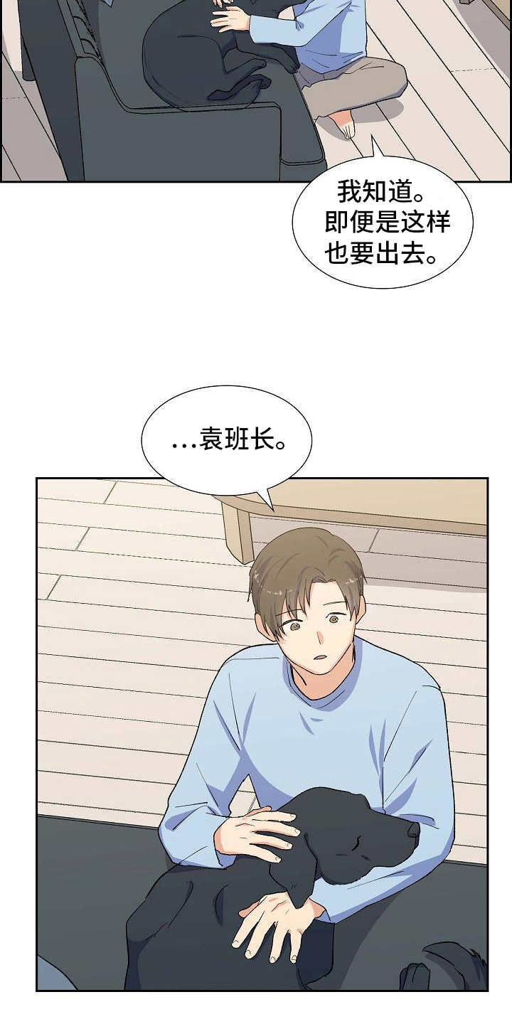 《再相会》漫画最新章节第25章：安排免费下拉式在线观看章节第【2】张图片