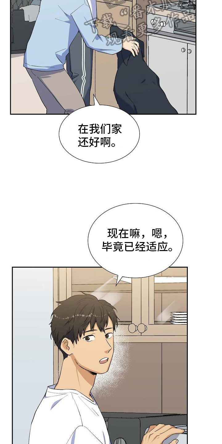 《再相会》漫画最新章节第25章：安排免费下拉式在线观看章节第【11】张图片