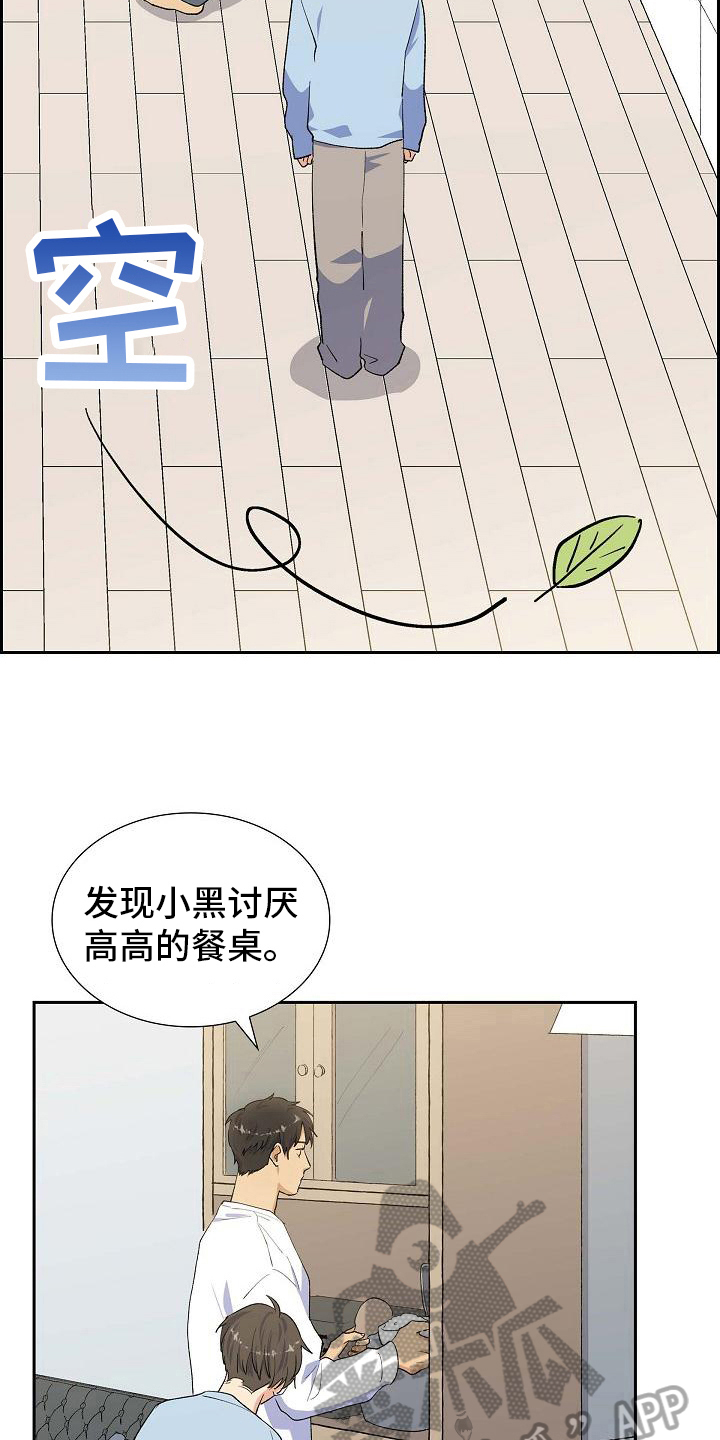 《再相会》漫画最新章节第25章：安排免费下拉式在线观看章节第【12】张图片