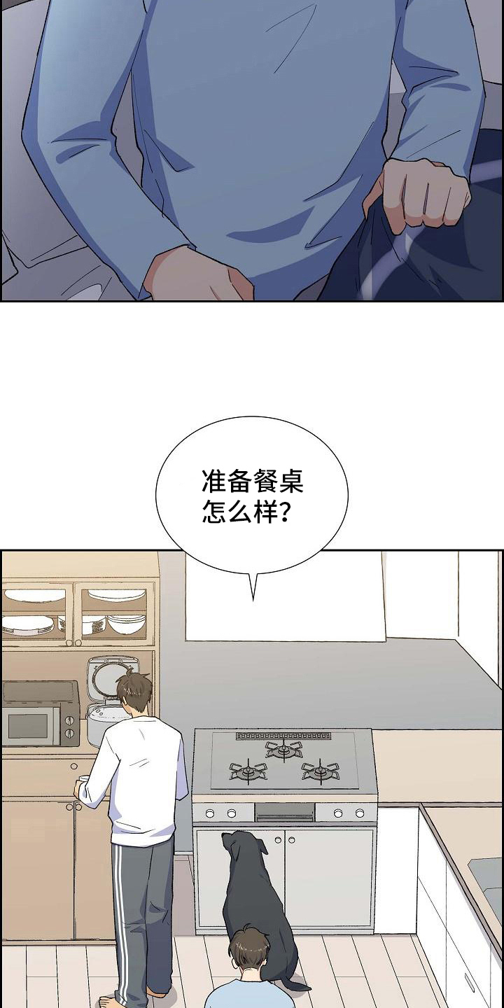 《再相会》漫画最新章节第25章：安排免费下拉式在线观看章节第【13】张图片