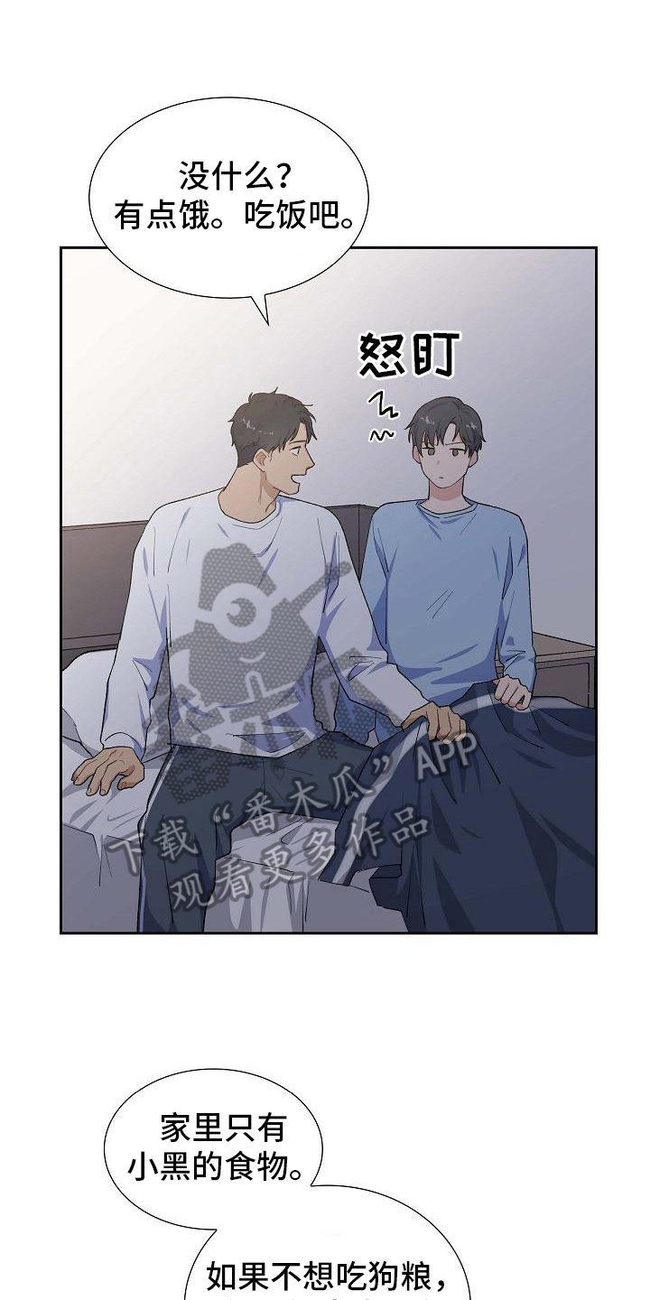 《再相会》漫画最新章节第25章：安排免费下拉式在线观看章节第【17】张图片