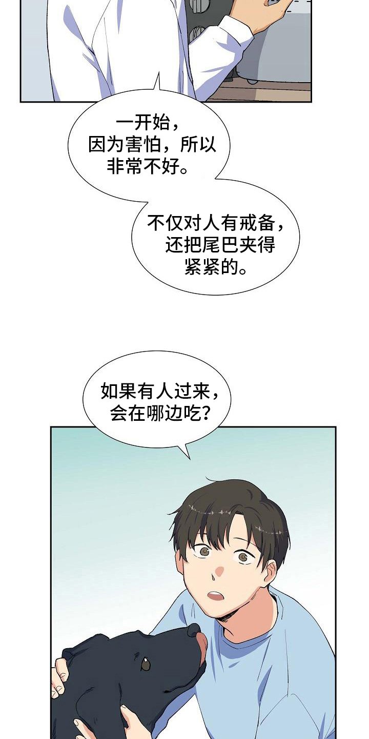 《再相会》漫画最新章节第25章：安排免费下拉式在线观看章节第【10】张图片