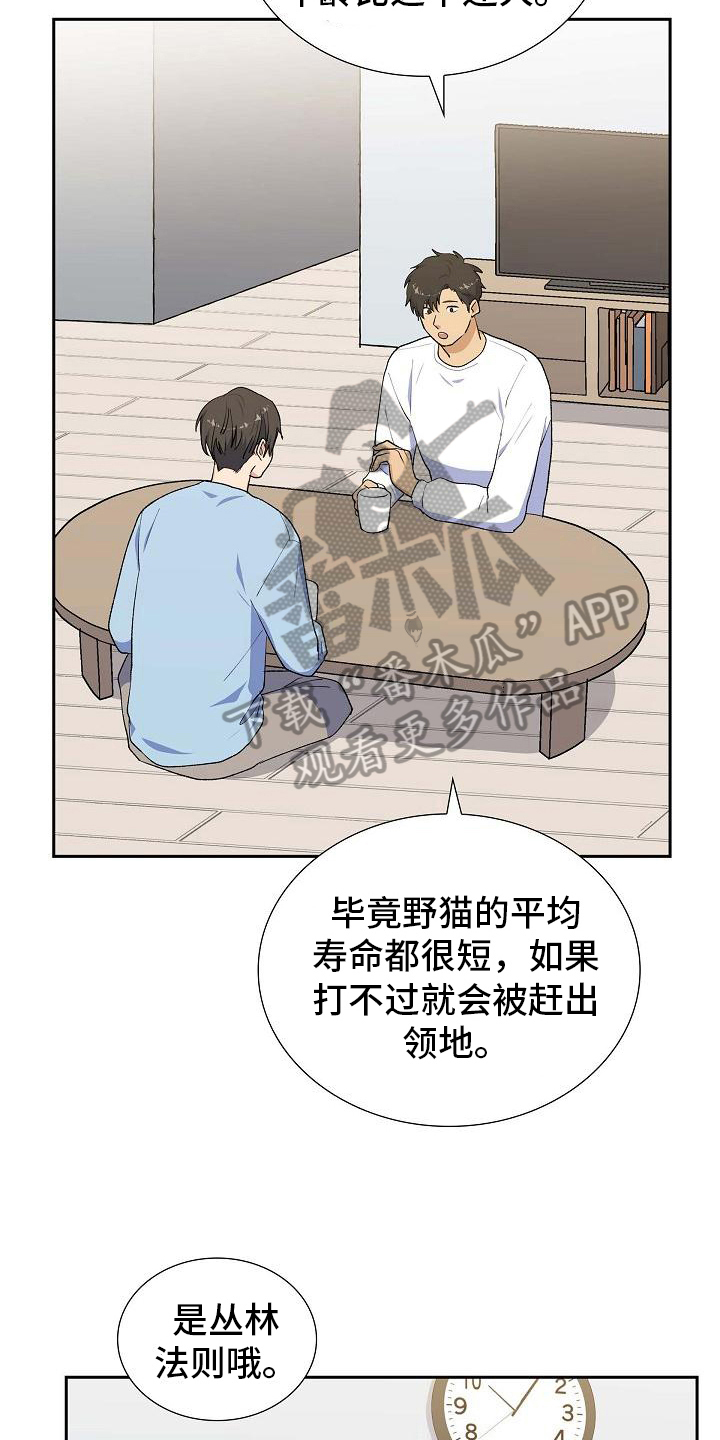 《再相会》漫画最新章节第26章：猜测免费下拉式在线观看章节第【12】张图片