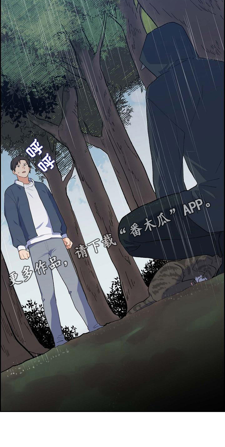 《再相会》漫画最新章节第27章：嫌犯免费下拉式在线观看章节第【1】张图片