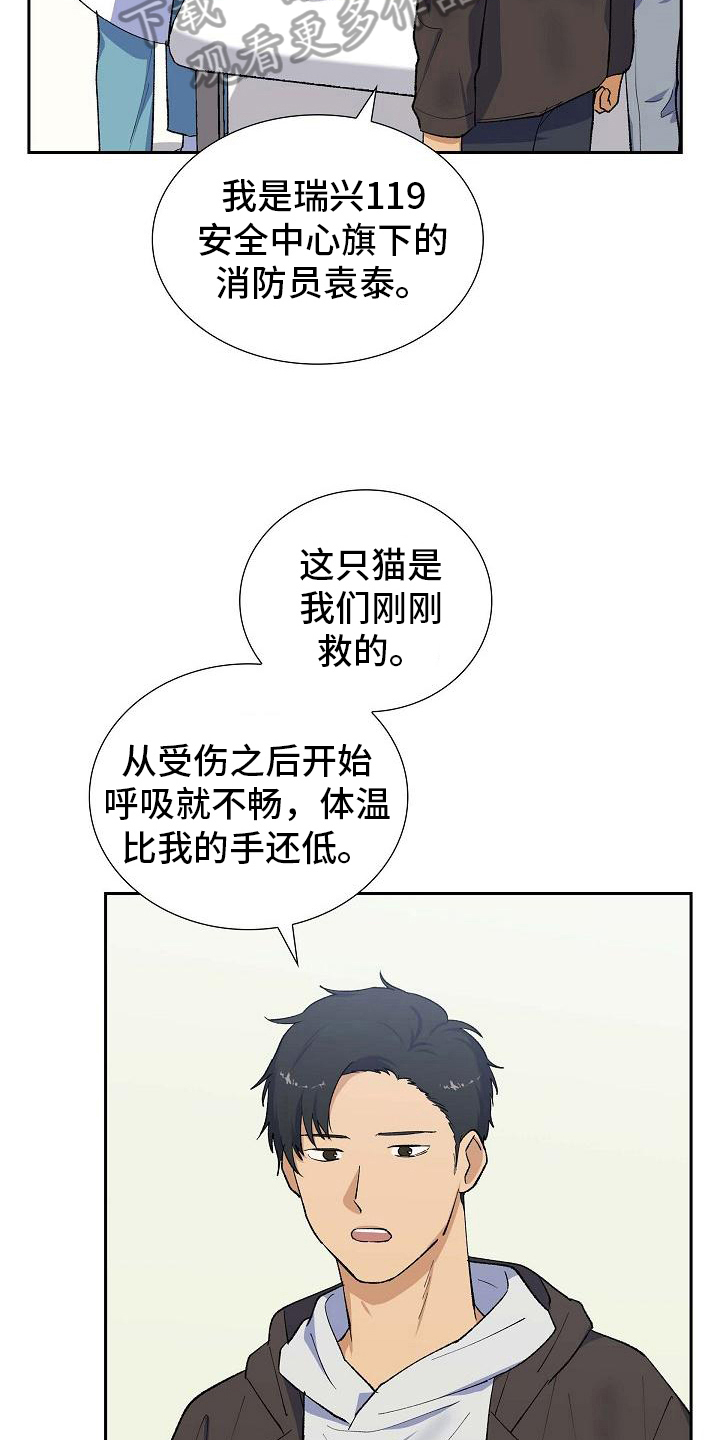 《再相会》漫画最新章节第30章：送医院免费下拉式在线观看章节第【21】张图片