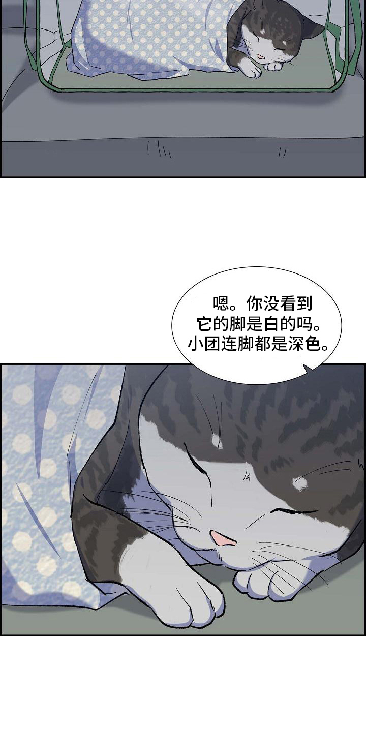 《再相会》漫画最新章节第30章：送医院免费下拉式在线观看章节第【25】张图片